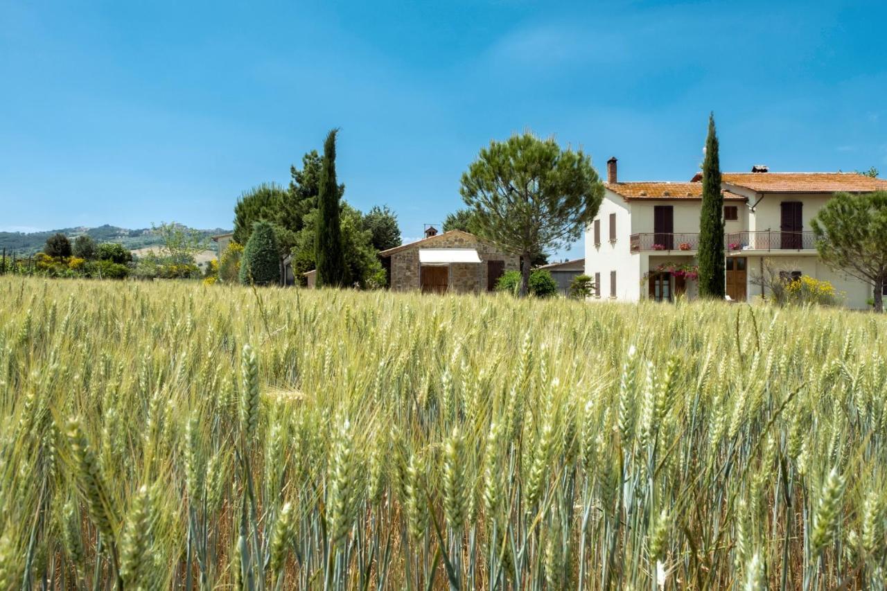 Agriturismo San Marcello Castiglione dʼOrcia Buitenkant foto